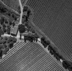 Fotografia Aerea Versilia