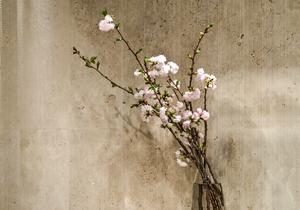 Interior Photographer